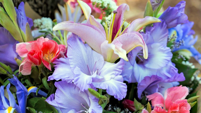 Обои картинки фото цветы, разные вместе, гладиолусы, ирисы, лилии