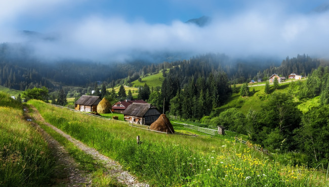 Обои картинки фото пейзаж в украинских карпатах, природа, пейзажи, деревья, дорога, туман, село, горы