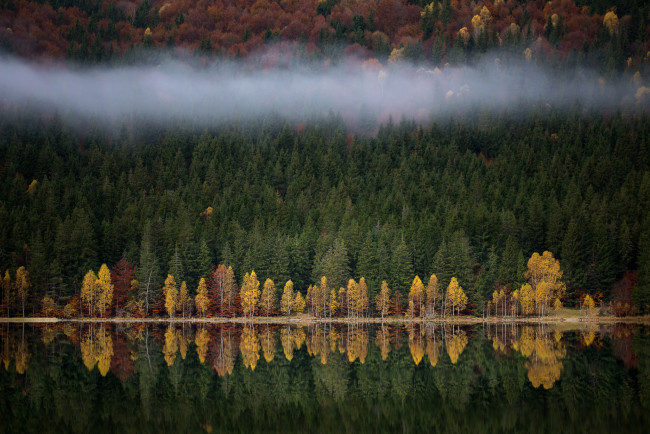 Обои картинки фото природа, реки, озера, туман, озеро, река, осень, лес