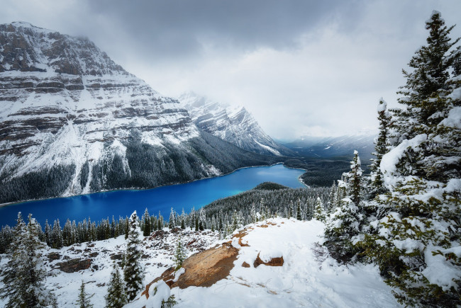 Обои картинки фото природа, зима, горы, снег, канада, озеро, peyto, лес