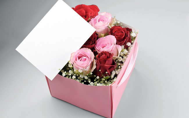 Обои картинки фото цветы, розы, подарок, бутоны