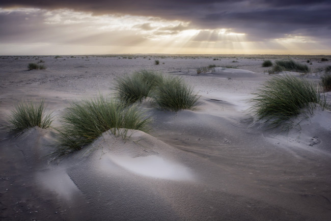 Обои картинки фото природа, пустыни, дюны, трава, небо