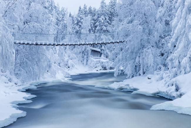 Обои картинки фото красота да ляпота, природа, пейзажи, пейзаж, финляндия, зима, снег, деревья, река, мост, леса