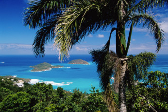 Картинка природа тропики пальмы острова море