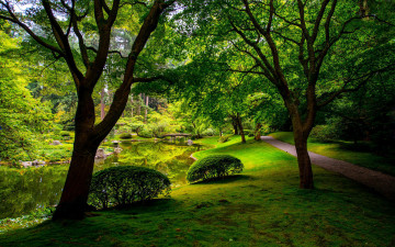 Картинка природа парк пруд мостик аллея деревья