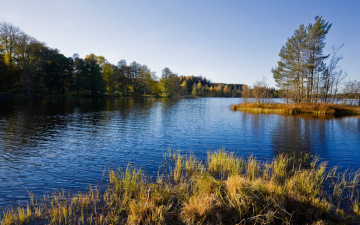 Картинка природа реки озера озеро небо деревья пейзаж