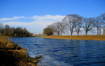 Картинка природа реки озера река мост деревья утки