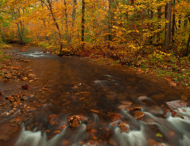 Обои картинки фото природа, реки, озера, деревья, лес, камни, река, осень