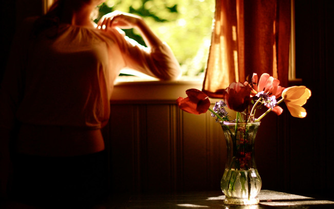 Обои картинки фото цветы, разные, вместе, окно, ваза, тюльпаны