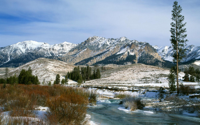 Обои картинки фото природа, горы, кусты, речка, зима, деревья