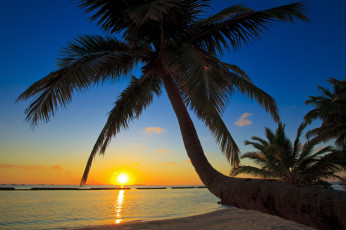 Картинка пейзаж природа восходы закаты закат море пальмы пляж