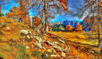 Картинка словения краньска гора природа деревья горы осень