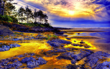 Картинка природа восходы закаты горизонт береговой лес камни тина свет краски океан