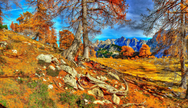 Обои картинки фото словения, краньска, гора, природа, деревья, горы, осень