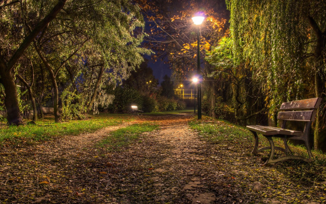 Обои картинки фото природа, парк, вечер, скамейка, фонари, аллея