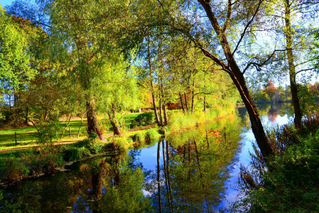 Обои картинки фото природа, реки, озера, река, деревья, отражение