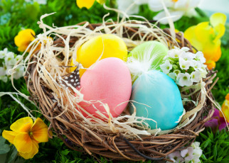 обоя праздничные, пасха, easter, basket, nest, flowers, spring, eggs, яйца, гнездо