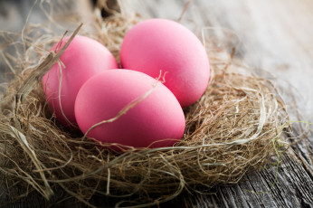 Картинка праздничные пасха гнездо яйца праздник