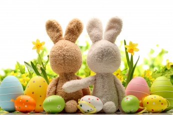 обоя праздничные, пасха, grass, яйца, нарциссы, daffodils, цветы, трава, весна, flowers, eggs, кролик, spring, easter, bunny