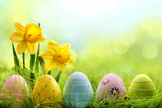 Обои картинки фото праздничные, пасха, easter, цветы, яйца, трава, meadow, grass, flowers, eggs, daffodils, весна, sunshine, spring, нарциссы, луг
