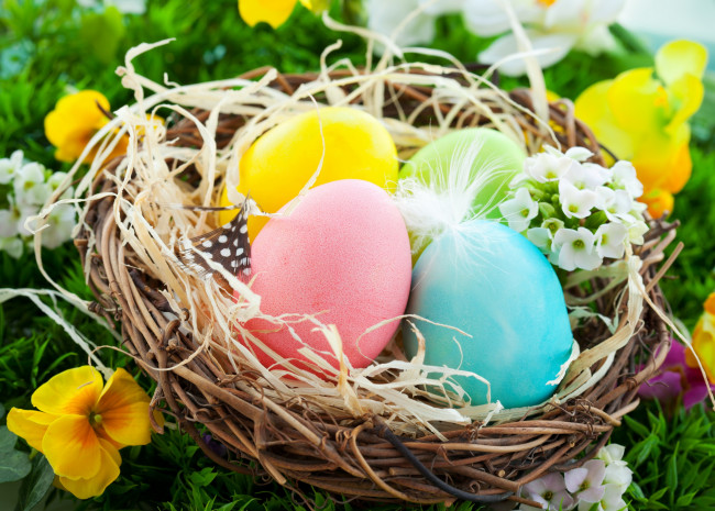 Обои картинки фото праздничные, пасха, easter, basket, nest, flowers, spring, eggs, яйца, гнездо