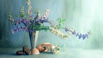 Картинка цветы букеты +композиции стена галька ракушки ваза букет