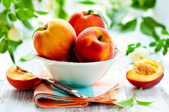Картинка еда персики +сливы +абрикосы нектарины