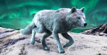 Картинка 3д+графика животные+ animals волк