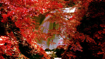 Картинка природа водопады поток деревья