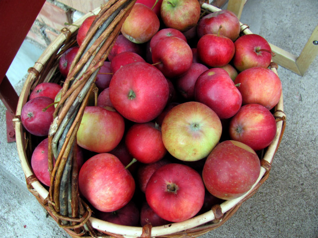 Обои картинки фото еда, Яблоки, корзинка, урожай, яблоки