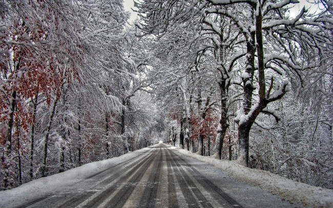 Обои картинки фото природа, дороги, деревья, снег, иней