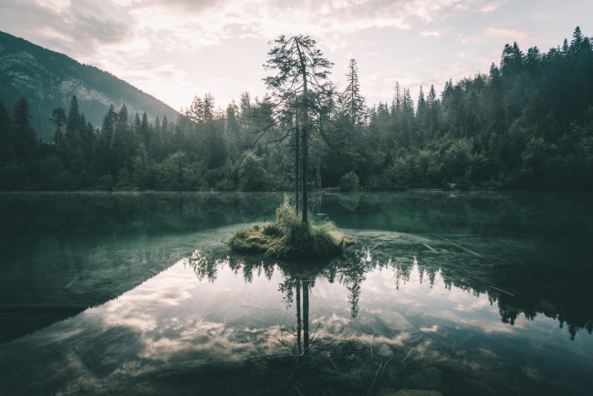 Обои картинки фото природа, реки, озера, озеро, лес, дерево, небо