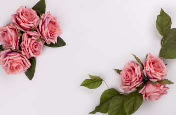 Картинка разное ремесла +поделки +рукоделие цветы розы композиция pink roses розовые flowers букет