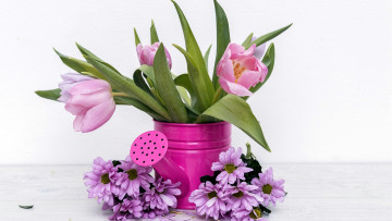 Картинка цветы разные+вместе тюльпаны хризантемы