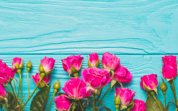 Картинка цветы розы flowers romantic бутоны розовые fresh roses wood pink