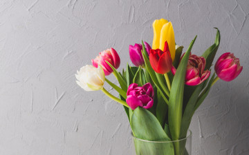 Картинка цветы тюльпаны colorful fresh весна flowers spring букет яркие bright tulips