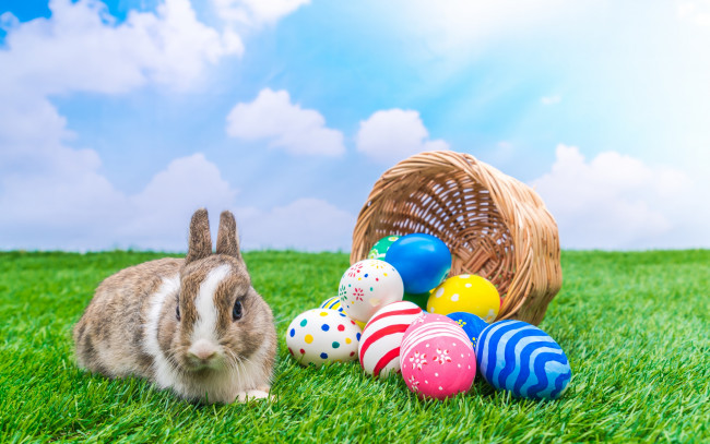 Обои картинки фото животные, кролики,  зайцы, весна, пасха