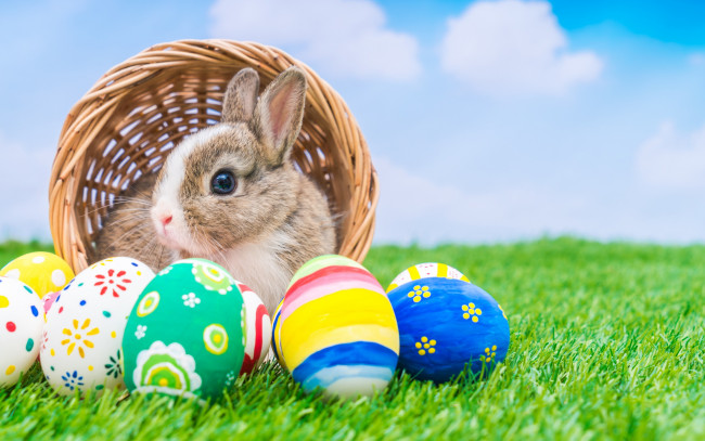 Обои картинки фото животные, кролики,  зайцы, яйца, крашенные, праздник, кролик, корзина, пасха