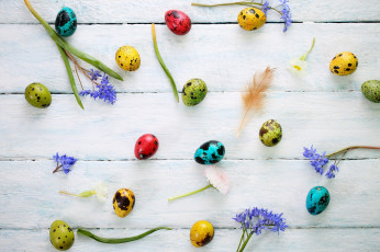 Картинка праздничные пасха праздник яйца цветы перья