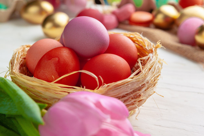 Обои картинки фото праздничные, пасха, праздник, яйца, корзинка, тюльпаны