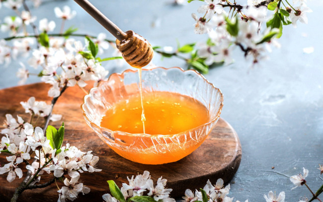 Обои картинки фото еда, мёд,  варенье,  повидло,  джем, цветущие, ветки, мед, весна