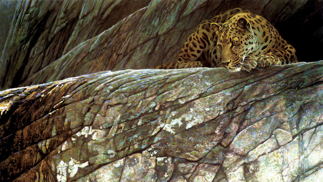 Обои картинки фото 295410, рисованное, животные,  ягуары,  леопарды, животное, хищник