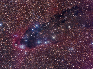 Картинка ngc 6231 космос галактики туманности