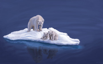 Картинка рисованные животные медведи белые polar bears медведица медвежата льдина на льдине арт
