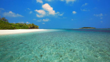 Картинка природа тропики море мальдивы пальмы остров пляж