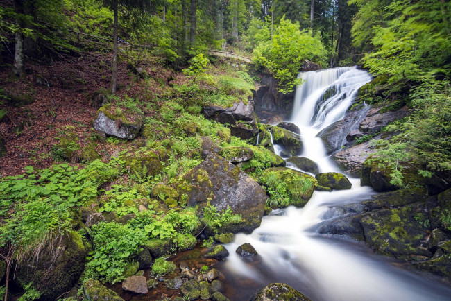 Обои картинки фото triberger waterfall, germany, природа, водопады, triberger, waterfall