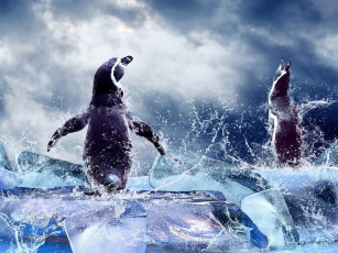 Картинка животные пингвины льдины брызги облака