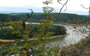 Картинка природа реки озера ягоды река остров деревья куст