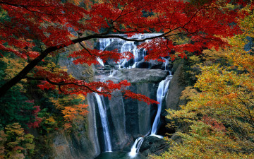 Картинка природа водопады листья красные водопад лес