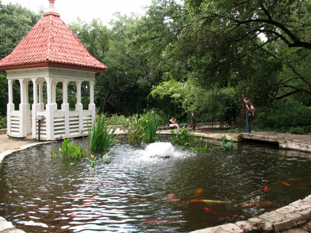 Обои картинки фото zilker, botanical, garden, сша, texas, природа, парк